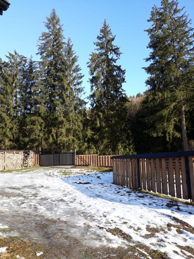 Ozdoba Villa Verkhovyna Buitenkant foto