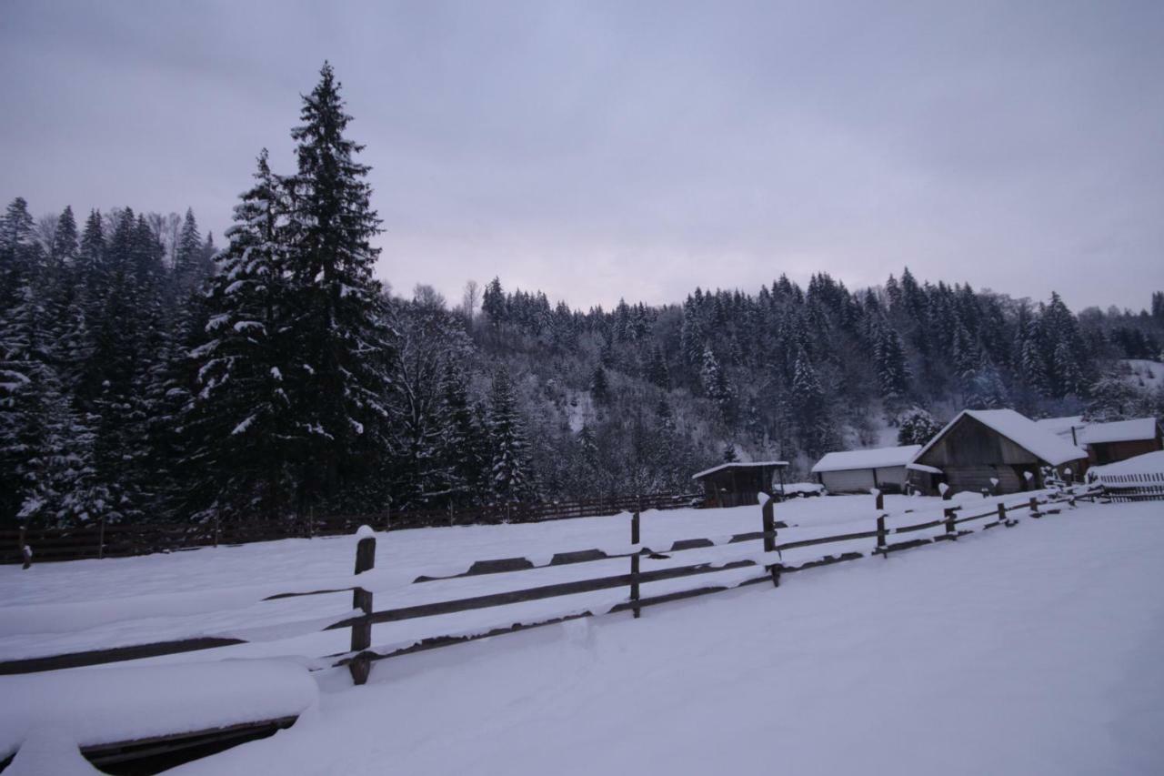 Ozdoba Villa Verkhovyna Buitenkant foto
