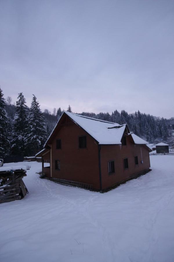 Ozdoba Villa Verkhovyna Buitenkant foto