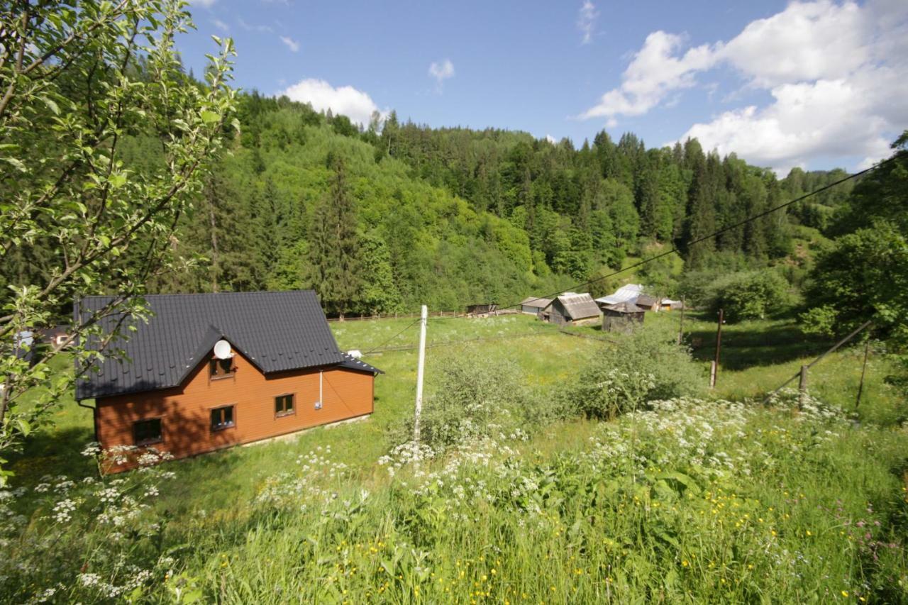 Ozdoba Villa Verkhovyna Buitenkant foto
