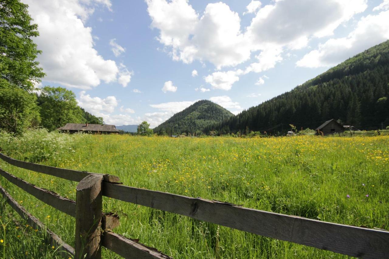 Ozdoba Villa Verkhovyna Buitenkant foto